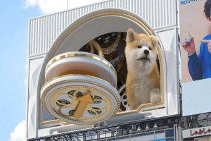 Tokyo Led Where Are The Most Amazing LED Displays In Tokyo? - LED Screen ...